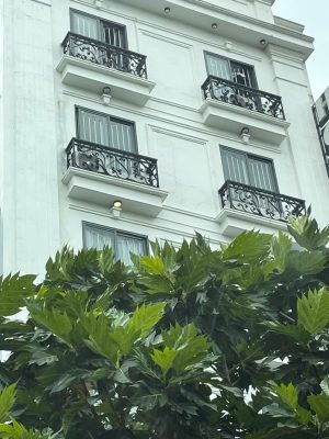 Mẫu lan can ban công sắt la uốn hoa văn mỹ thuật
